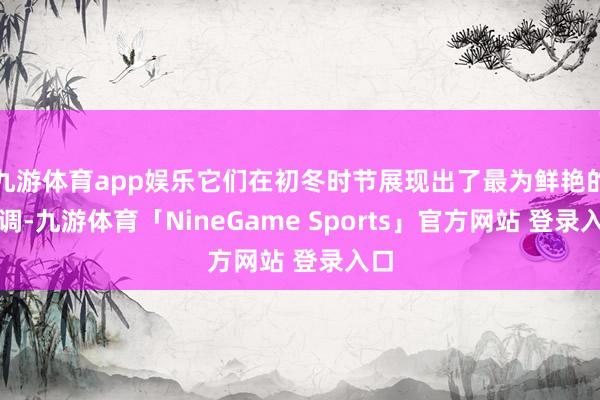 九游体育app娱乐它们在初冬时节展现出了最为鲜艳的色调-九游体育「NineGame Sports」官方网站 登录入口