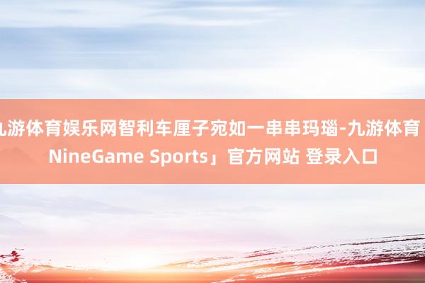 九游体育娱乐网智利车厘子宛如一串串玛瑙-九游体育「NineGame Sports」官方网站 登录入口