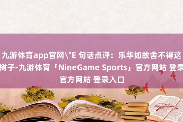 九游体育app官网